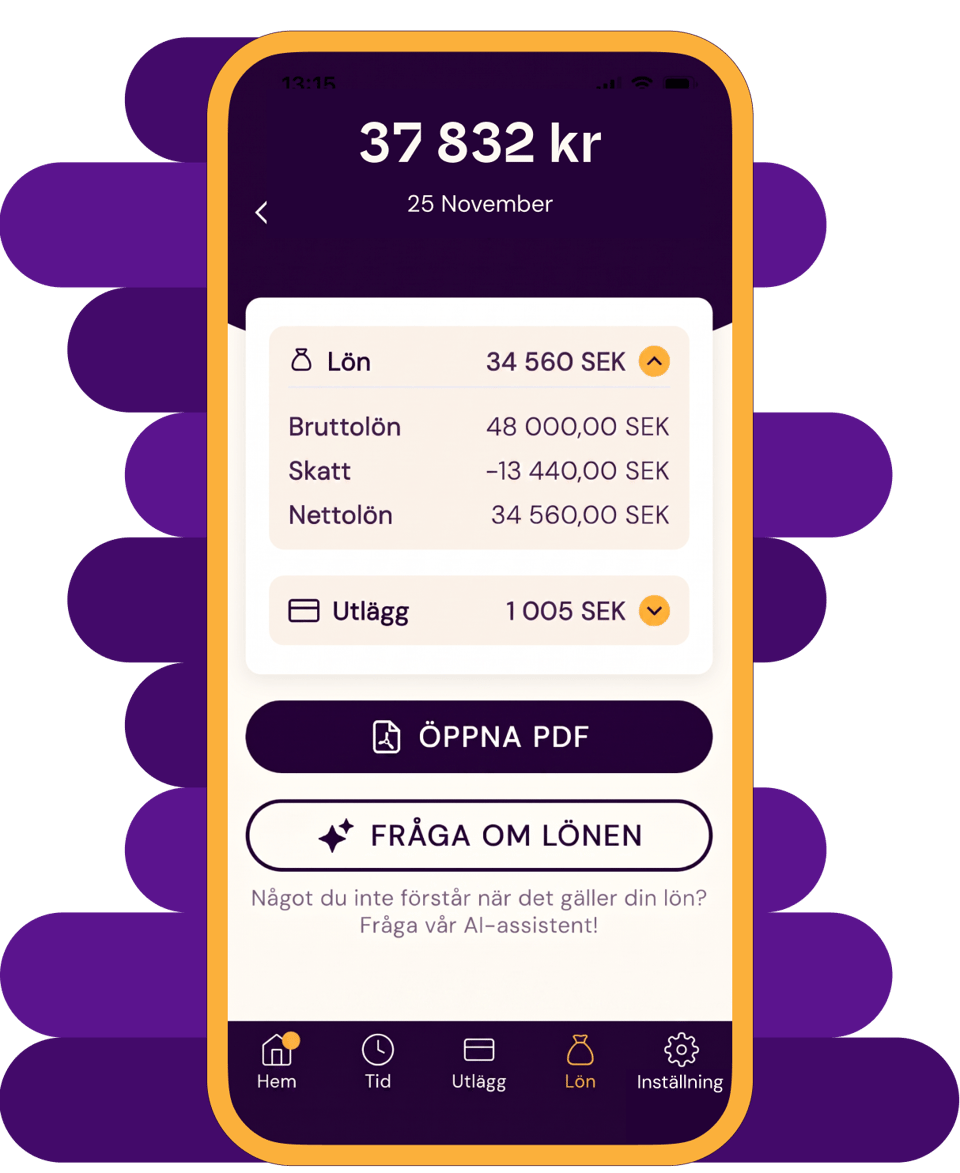 Appvy med lön