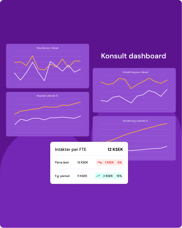 Systemvy med koncernrapporter