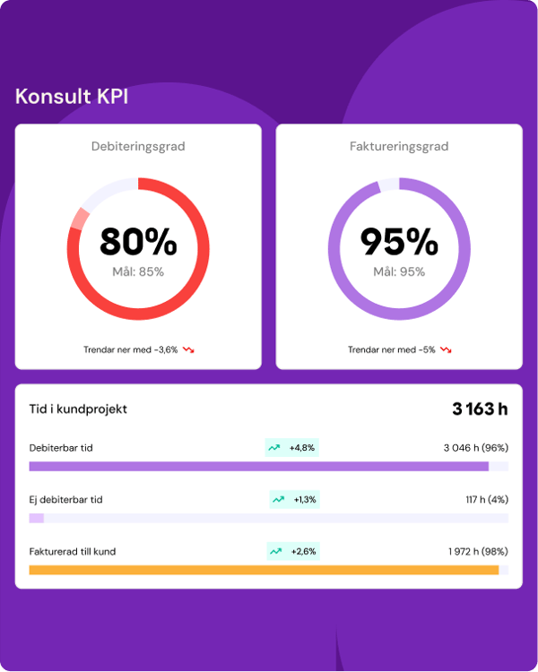 Systemvy med konsult kpi