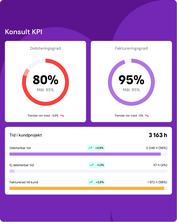 Systemvy med konsult kpi