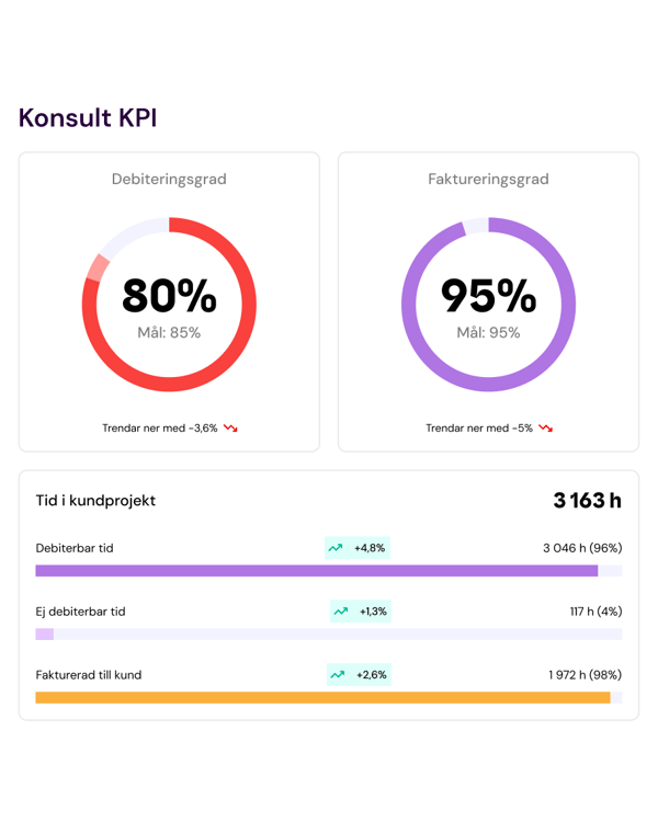 Systemvy med konsult kpi