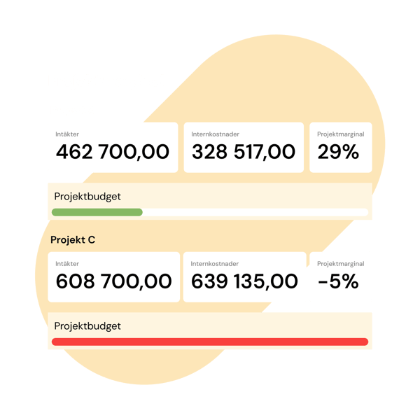 Projektmarginal