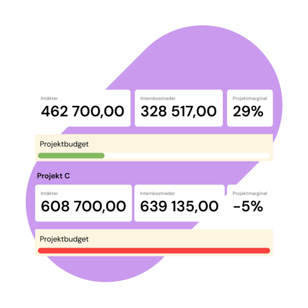 Projektekonomi i Kleer
