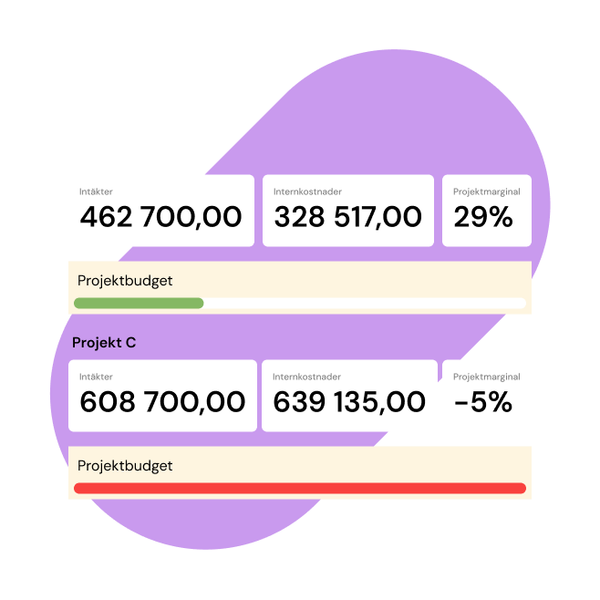 Projektekonomi i Kleer
