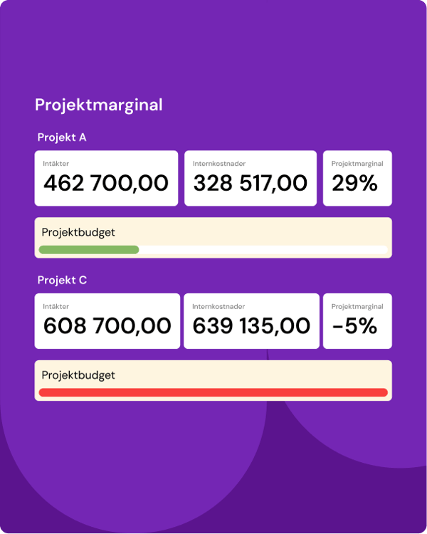 Systemvy med projektrapporter