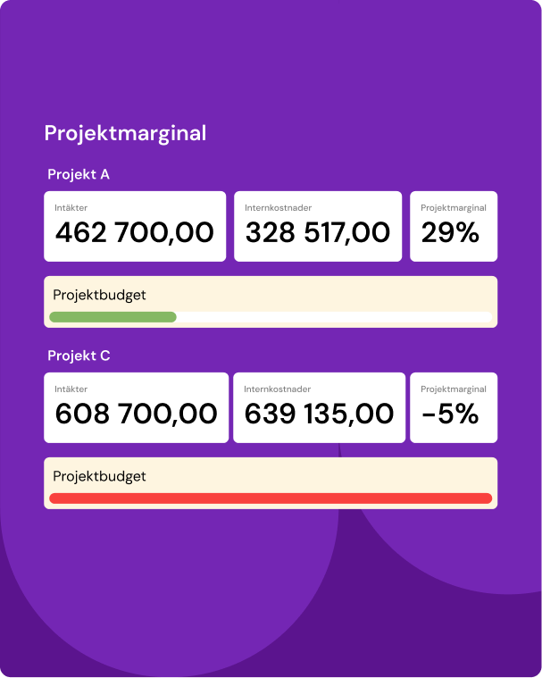 Systemvy med projektrapporter