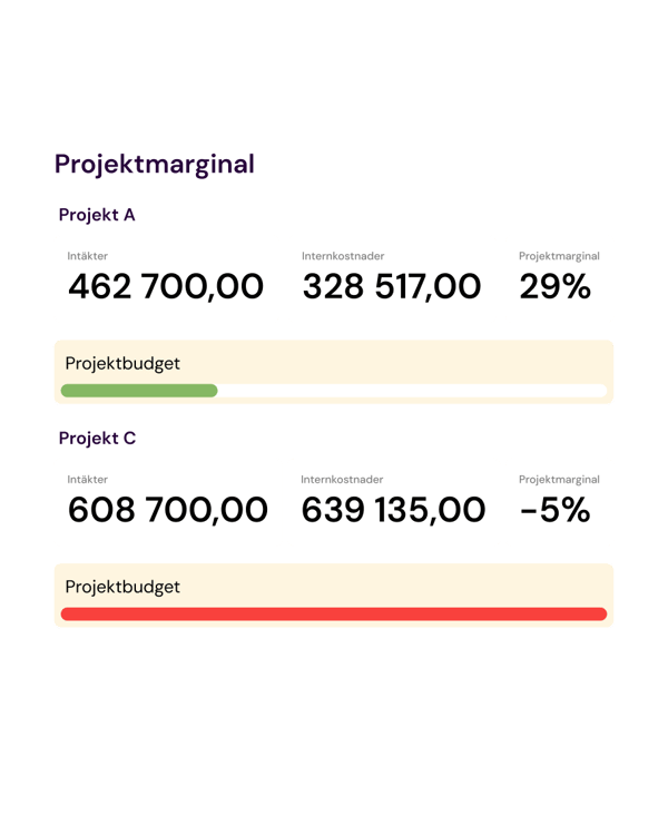 Systemvy med projektrapporter