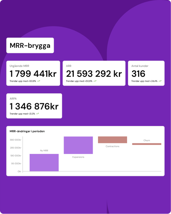 Systemvy med dashboard för SaaS-bolag