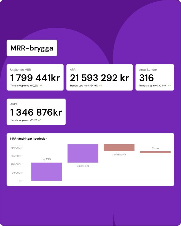 Systemvy med dashboard för SaaS-bolag