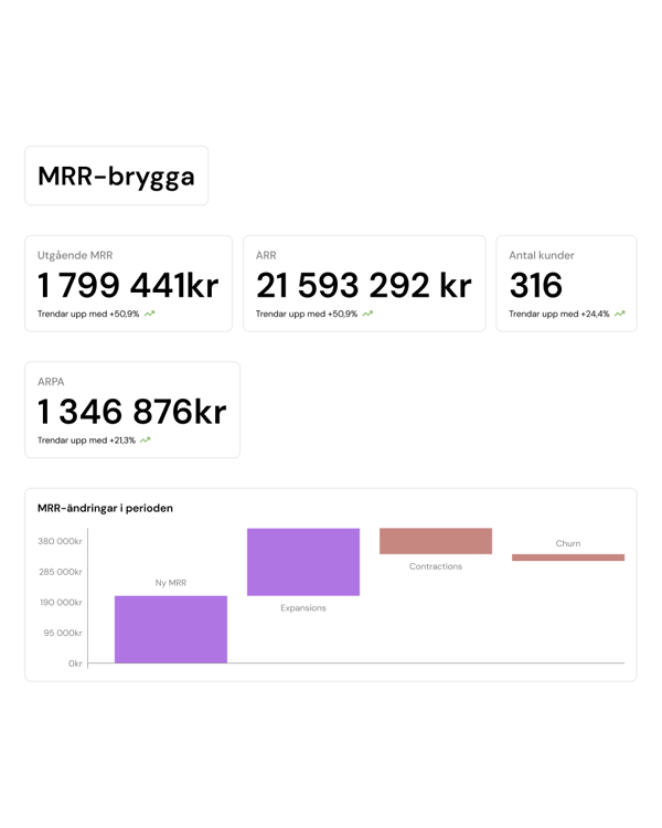Systemvy med dashboard för SaaS-bolag