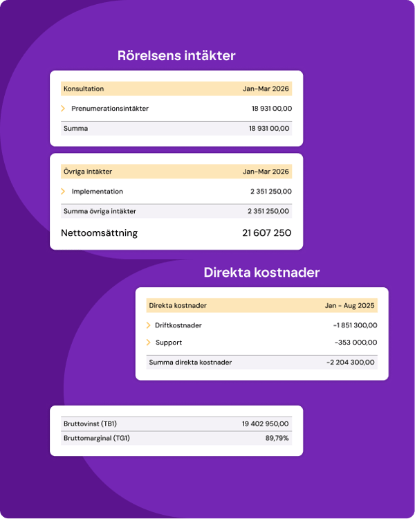 Systemvy med resultatrapport för SaaS-bolag