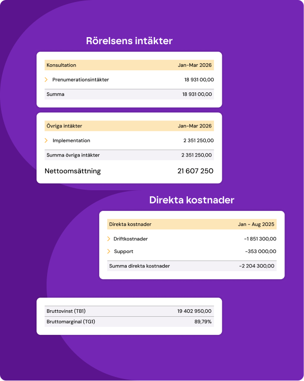 Systemvy med resultatrapport för SaaS-bolag