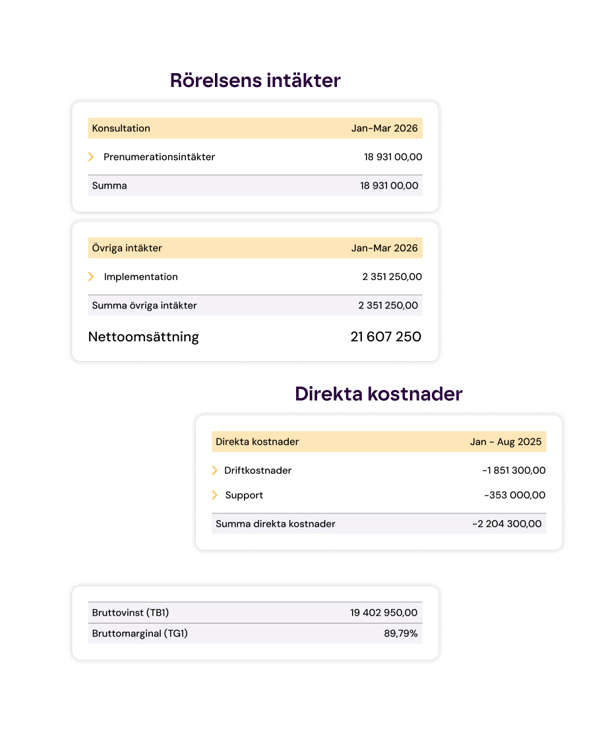 Systemvy med resultatrapport för SaaS-bolag